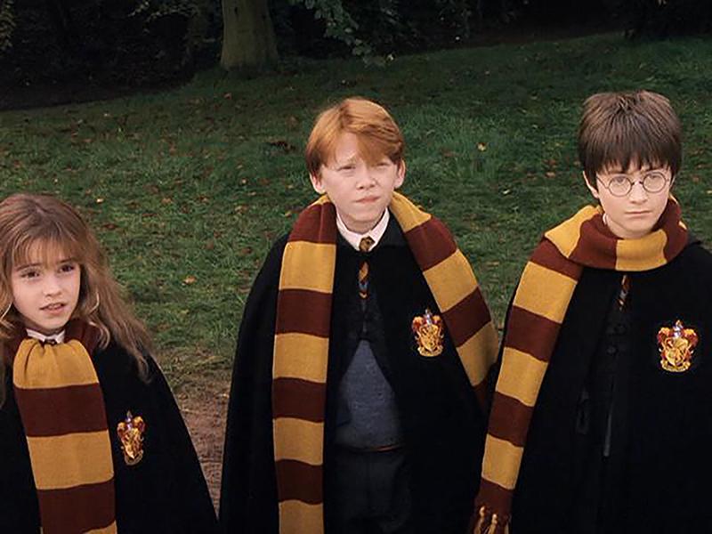 Harry Potter costume Gryffindor
